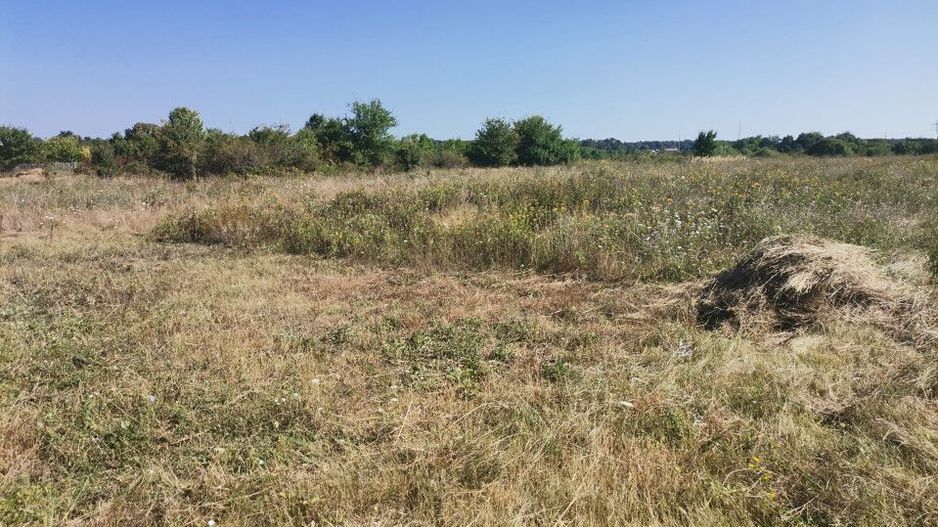 Vanzare teren Smeura cu AC si casa in constructie - Poză 6