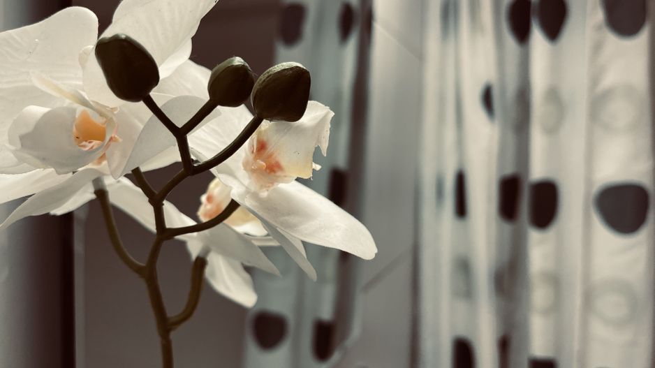 Adora Forest | 2.5 camere | Terasa superba 19 mp | 2 locuri parcare - Poză 31