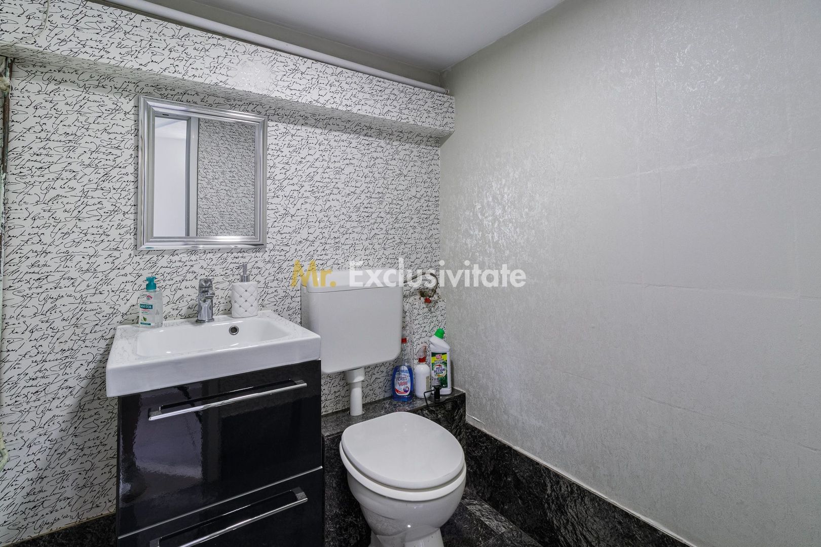 Spatiu Comercial Piata Gojului-Bulevardul Timisoara - Poză 2