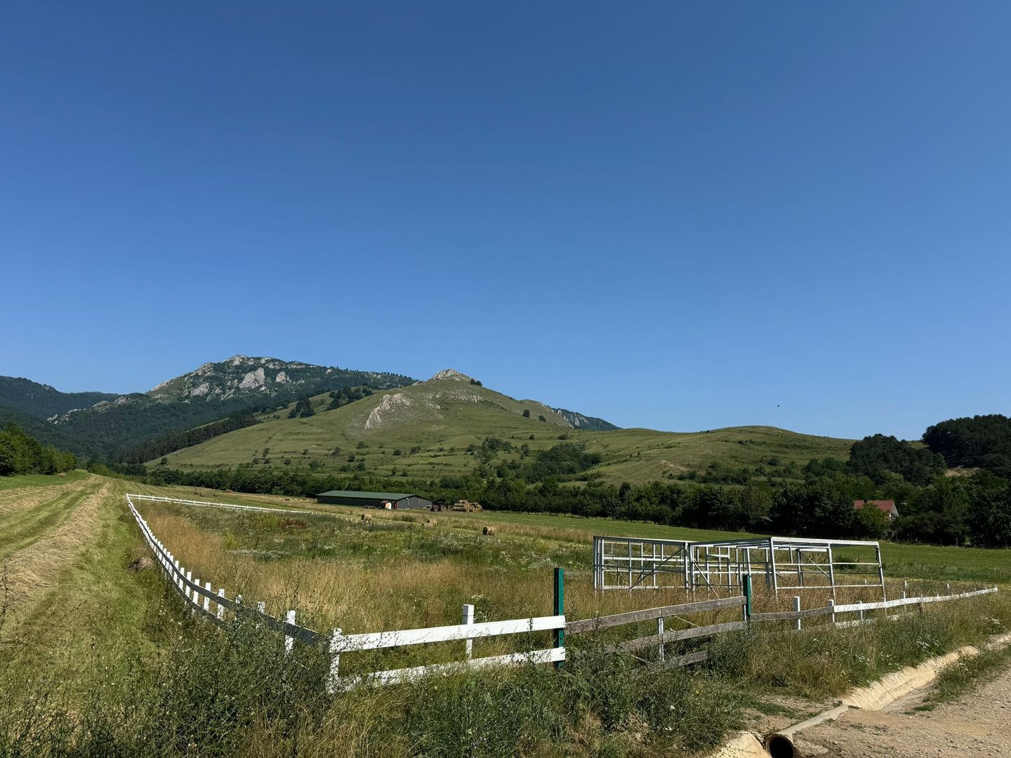 Teren de vanzare – Rimetea, Alba | 9000 mp - Poză 3