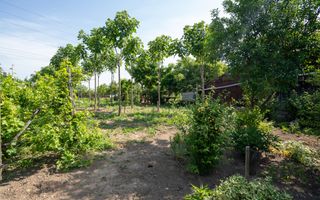 CASA DE VANZARE EPISCOPIA 1450 MP TEREN - Poză 10