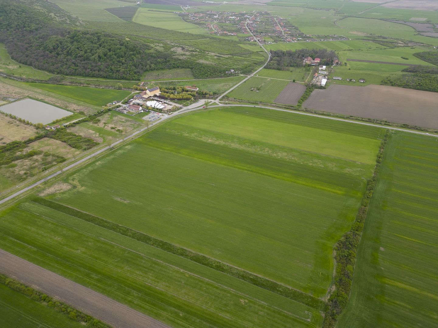 Teren extravilan de 22500mp Zona Ineu - Poză 4