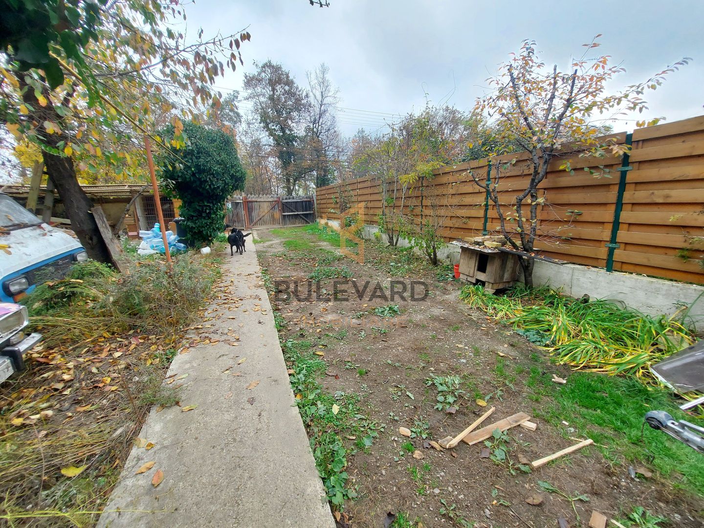 Casa in Gruia cu un view deosebit + teren de 1000mp! - Poză 3