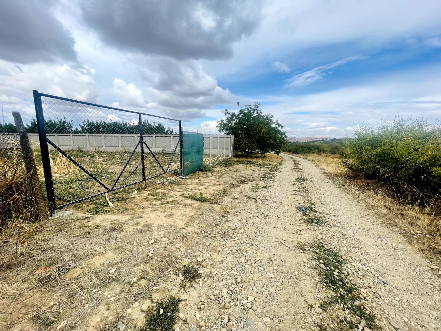 Teren intravilan de 2200 mp în Paleu – Front stradal 18 ml - Poză 2