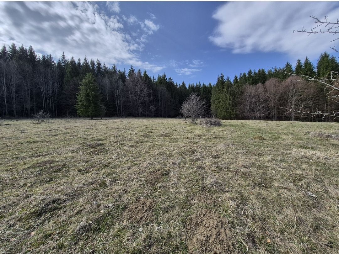 Teren intravilan la baza pădurii Valea Doftanei sat Traisteni (poduri) - Poză 5