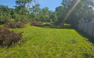 Teren 962 mp în Băicoi, Ideal pentru Casă sau Investiție - Poză 1