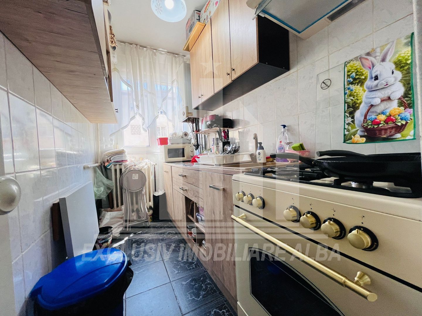 Apartament cu 2 camere de vanzare, Cetate - Poză 2