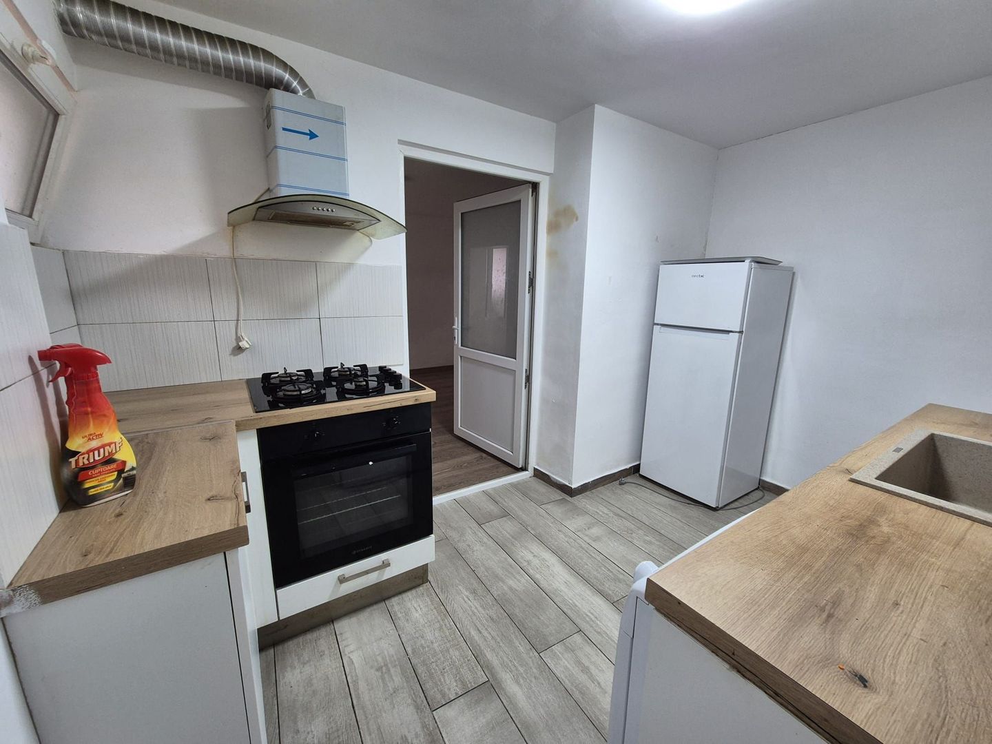 Casa 180 mp - parcul Carol - str. Lamaitei - Poză 9