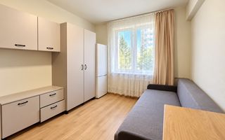 Garsoniera/STUDIO,  Albac, Gheorgheni, Iulius Mall, 11mp,Interservisan - Poză 3