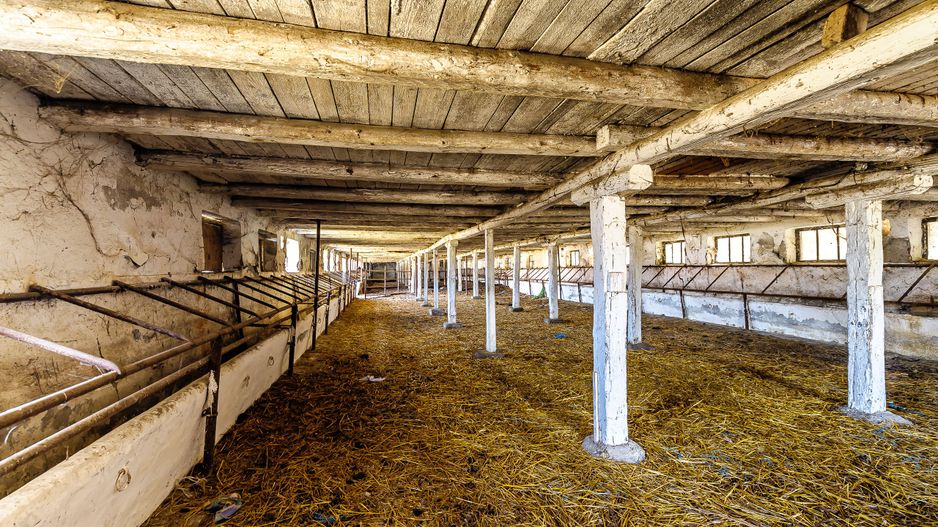 Fermă Mândruloc 2,5 ha - Poză 5