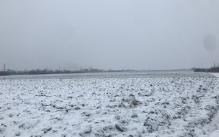 Teren de vanzare comision 0% client - Poză 4