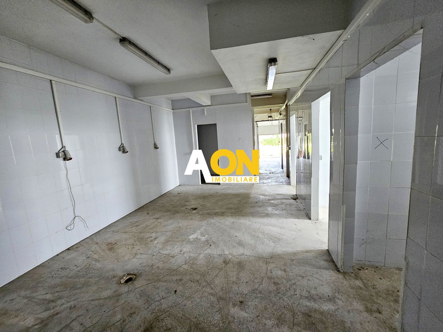 Clădire cu destinație de carmangerie în Ighiu - Potențial investitie! - Poză 7