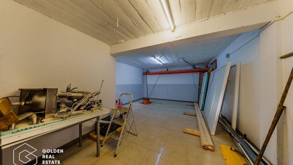 Proprietate pretabila pentru afacere, Cladova - Poză 29