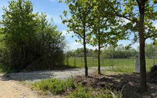 Teren intravilan | Bozanta Mică | 1000 mp | perfect pentru casa - Poză 1