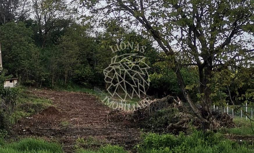 Teren intravilan 1000 mp-ideal afacere,investitie,hala-Zona Centura - Poză 1