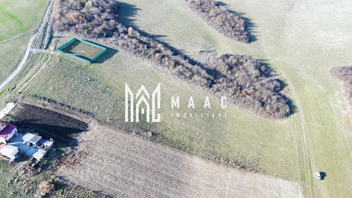 Teren | 651MP | Extravilan | Rusciori - Poză 9