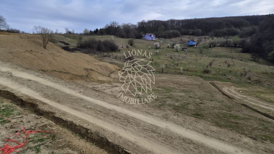 Teren extravilan 1500 mp,  5 min de centru, ideal Cabana, invetitie - Poză 4