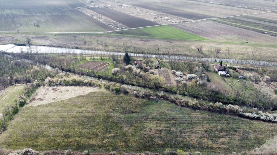 Teren intravilan Balint 22.500 mp - Poză 3