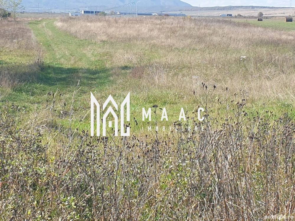 Teren Intravilan | 3.900 Mp Talmaciu | - Poză 1