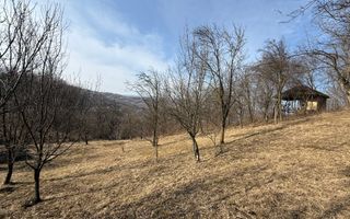 Teren intravilan 2788 mp deschidere 55 ml cu vedere panoramica ! - Poză 2