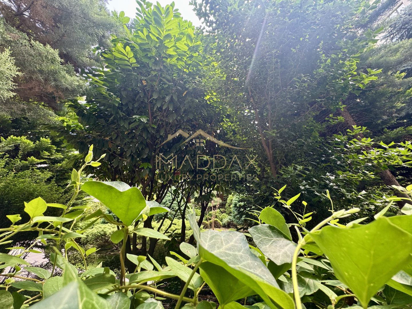 Apartament cu 5 camere parter + Gradina 100mp // Herastrau - Aviatiei - Poză 41