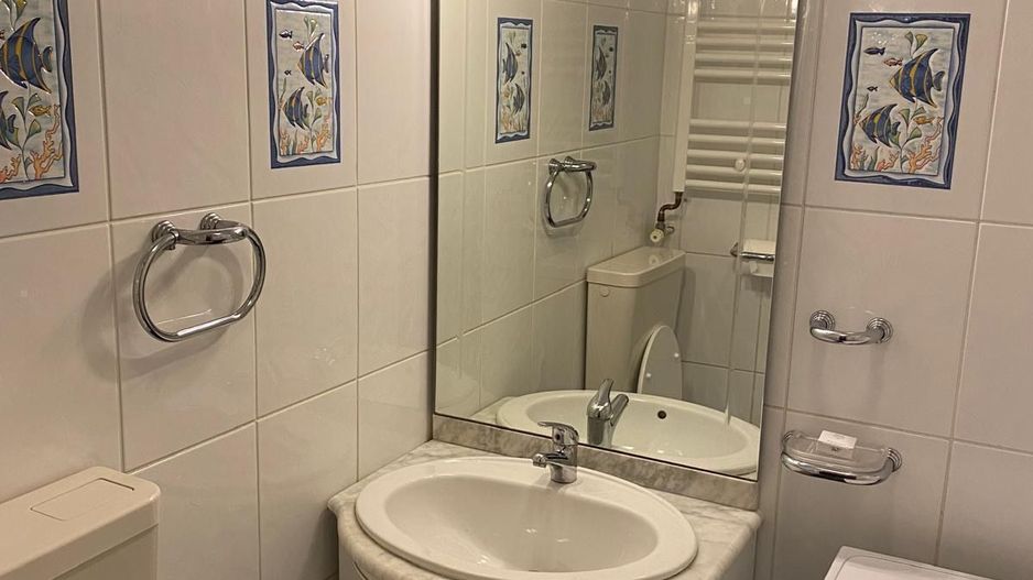 APARTAMENT SPATIOS | DECOMANDAT | BARBU VACARESCU - Poză 9