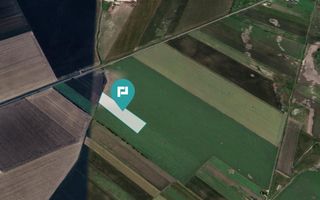 Teren extravilan de 22500 mp în Variașul Mare - Poză 1