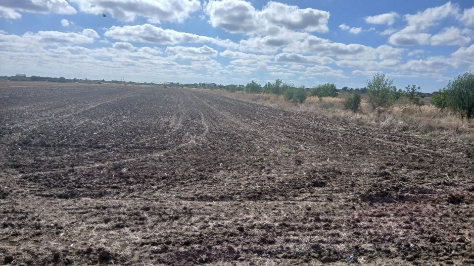 Teren de vanzare 4500mp Strada Rasaritului Darvari Ciorogarla A0 - Poză 4