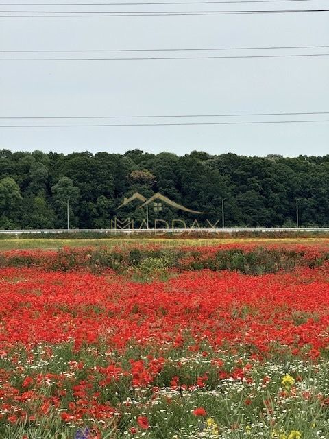Teren Extravilan ***8500 mp***Zona rezidentiala//Ostratu//Corbeanca - Poză 1