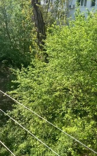 Inchiriere apartament (Zona Dristor) - Poză 13