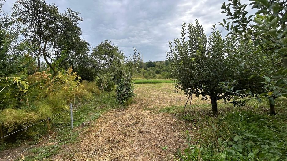 Proprietate de vânzare | 15 km de Onești, DN11 – direcția Bacău - Poză 8