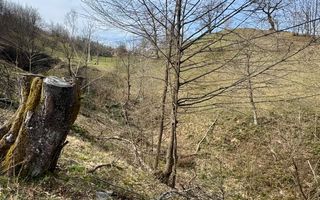 Teren intravialn | 6476 mp | Ulmoasa | zonă superbă - Poză 4