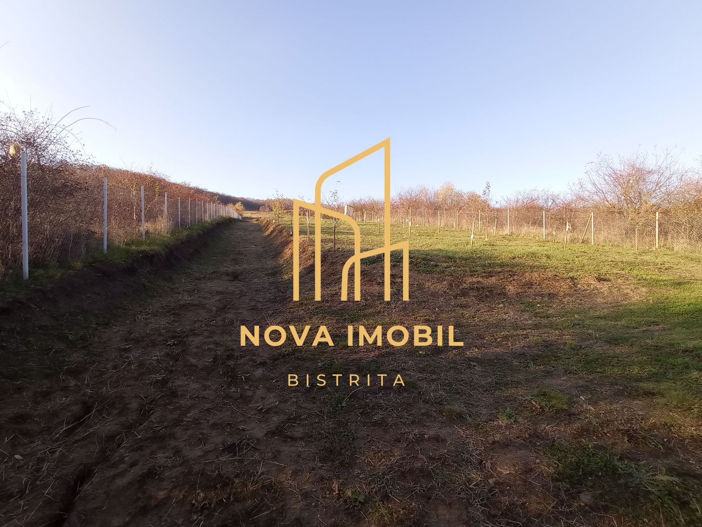 Teren Viisoara 27 ari - Poză 7