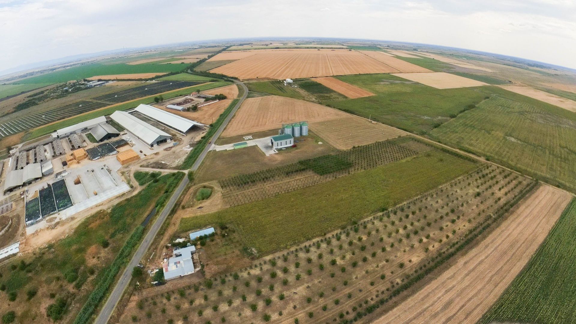 Livadă de 3,6 hectare în Iratoșu – Oportunitate - Poză 6