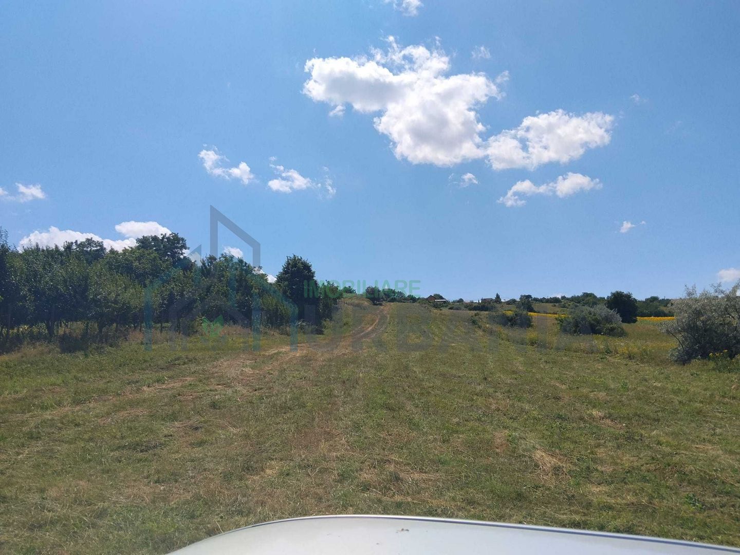 Teren de vânzare, Breazu, Iași – 6.500 mp - Poză 3