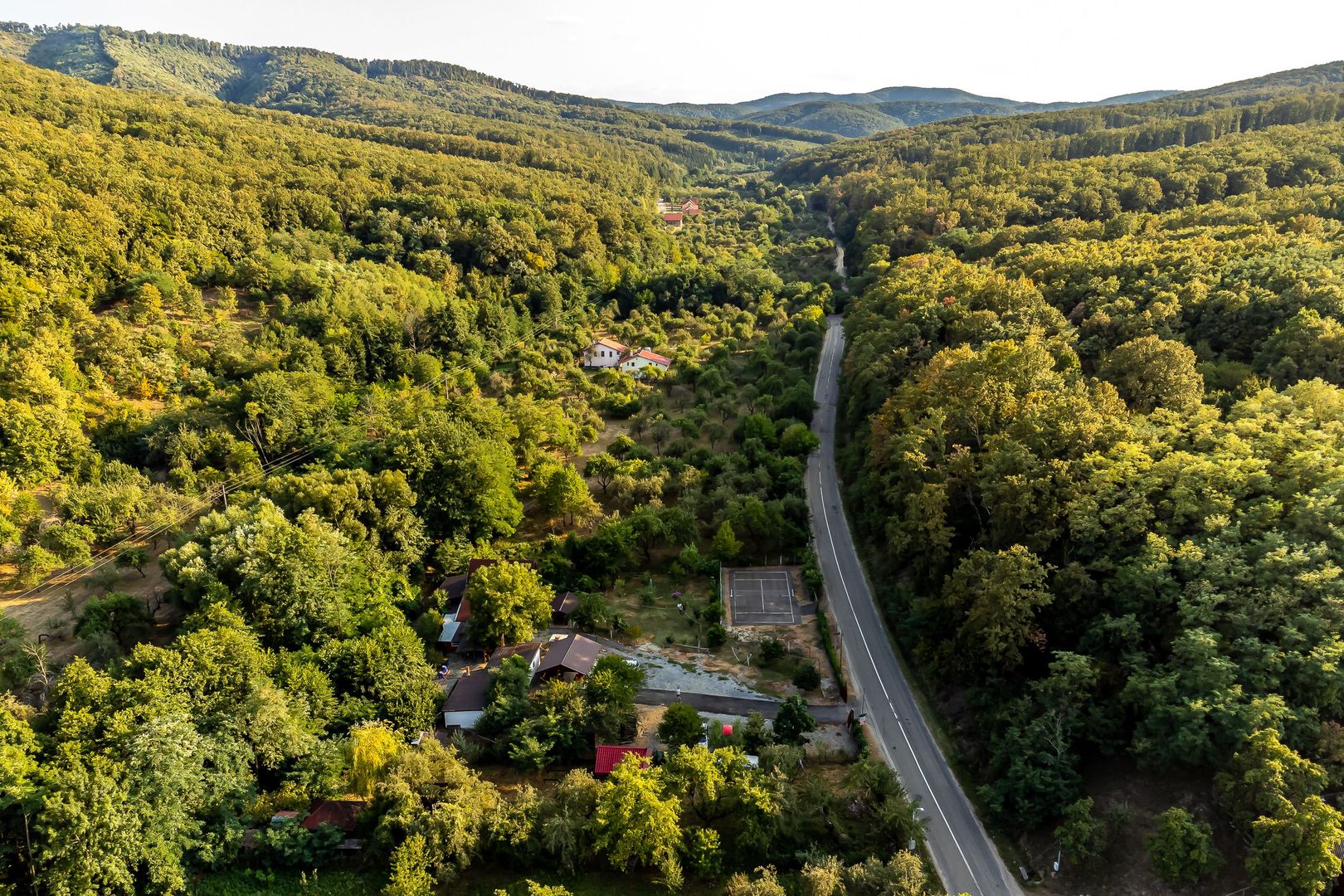 Valea Arinilor pensiune Arăneag - Poză 2