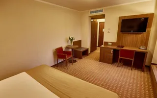 4 **** HOTEL PIATRA - NEAMT - Poză 16