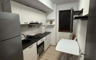 Apartament 2 camere decomandat, 55 mp, Iași - 450 euro/lună - Poză 2