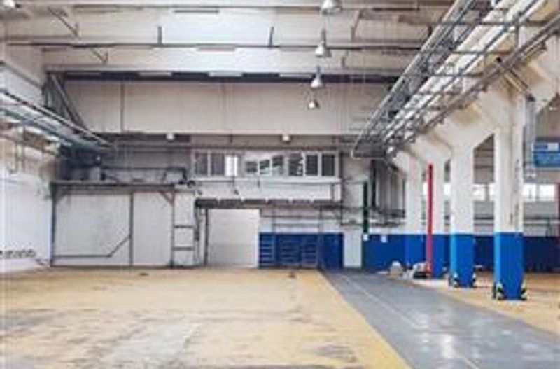 hale in parcul Roman sau tractorul - Poză 4