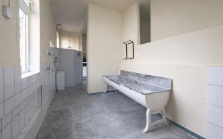 Ansamblu casa+productie+comercial, 3 corpuri,acces stradal,Tudor,Targu Mures - Poză 7