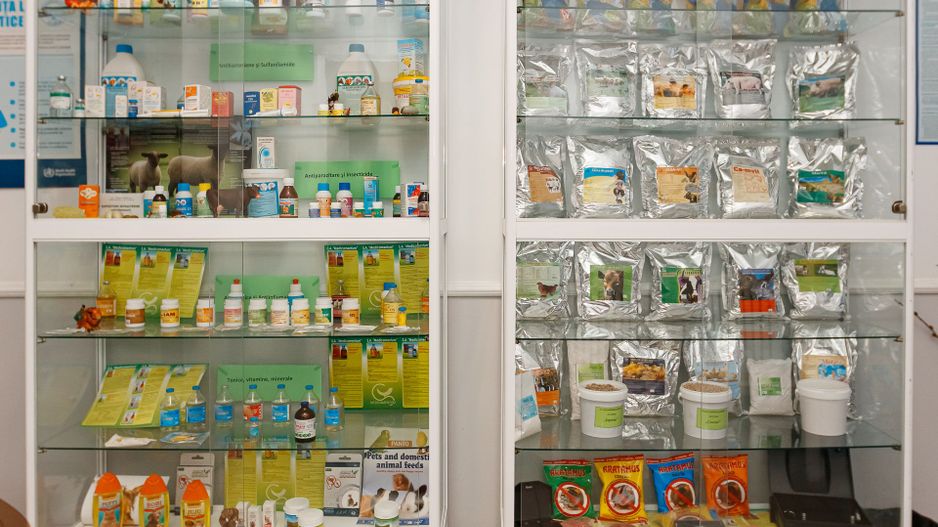 Proprietate specială de vânzare ”Fabrică de producere a medicamentelor de uz veterinar” - Poză 32