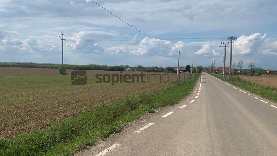 Sapient | Teren Agricol Intravilan zona Bors ,localitate Santau - Poză 3