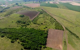 Teren arabil de 174 hectare în Călărași - Poză 4