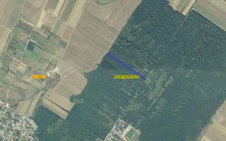 Teren 10,000mp Afumati | Padure | Soseaua Petrachioaia - Poză 1