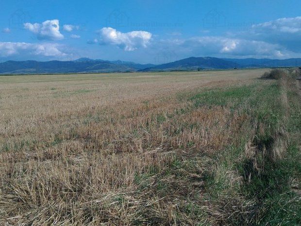 Teren extravilan Prejmer - Poză 9