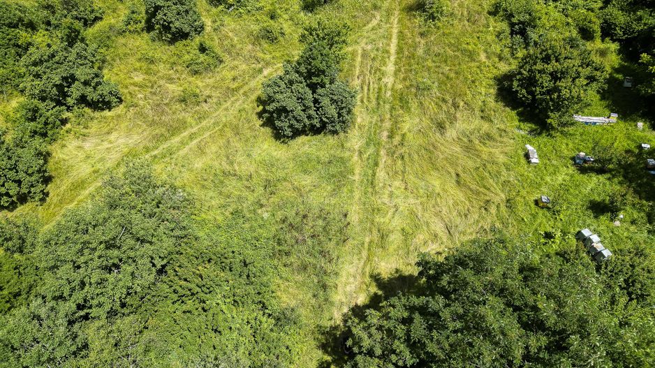 Teren pe deal la Sebiș - Poză 8