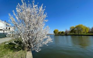 Duplex 4 camere _LUX_Modern***Lake view//Chitila - Poză 4