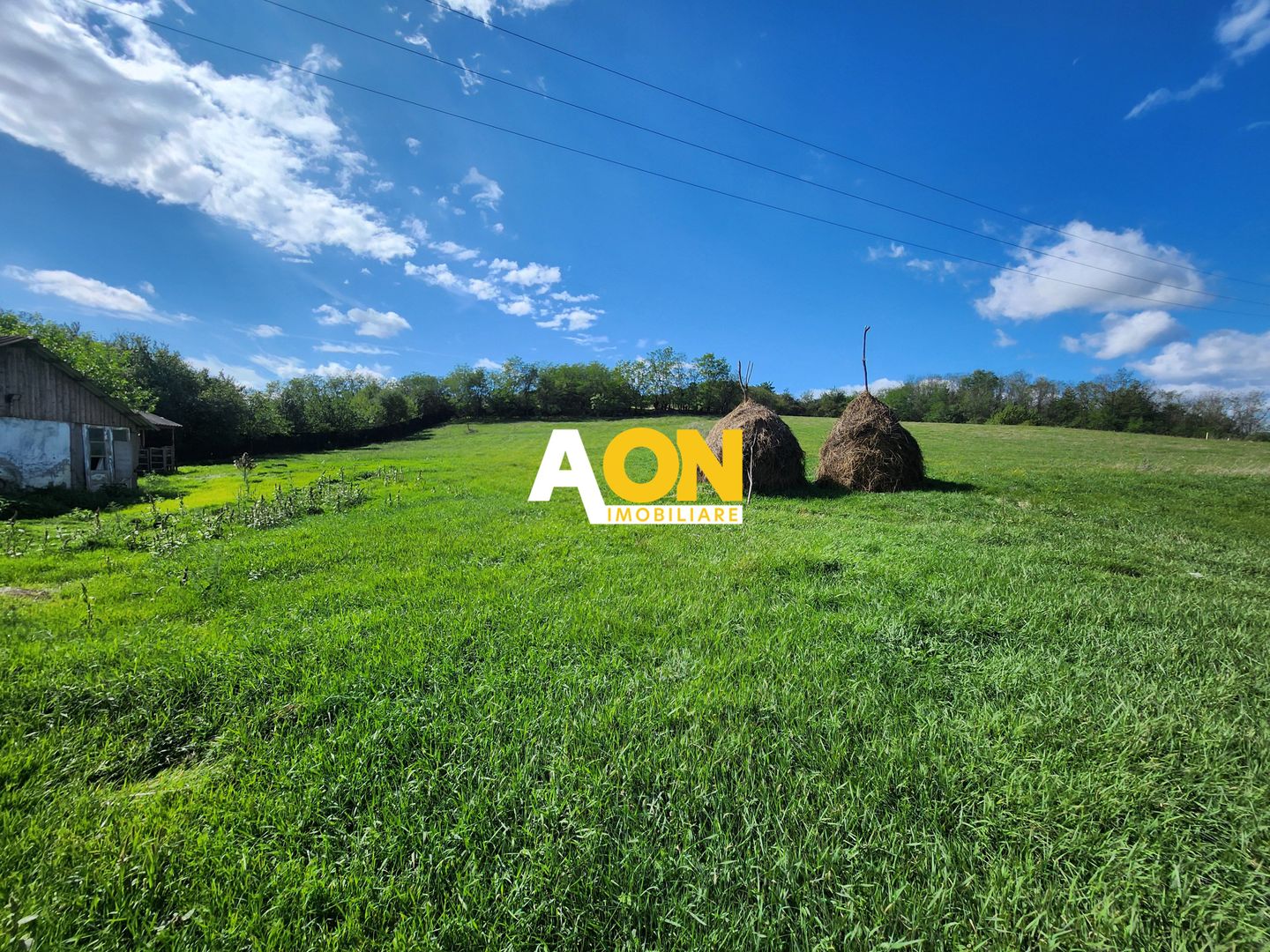 De vanzare 2965 mp teren intravilan, toate utilitatile, Oarda de Sus - Poză 3