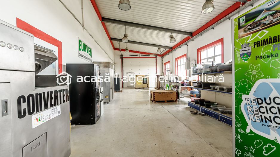 Hale depozitare/producție 2.000 mp si 10.000 mp teren în Pecica - Poză 9