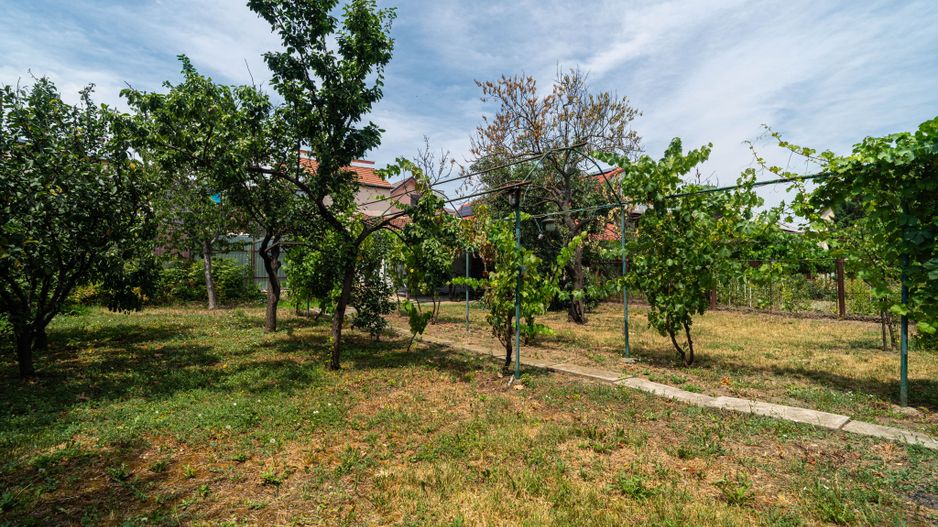 Casa 5 camere - teren 688 mp - Parneava - COMISION 0 - Poză 8